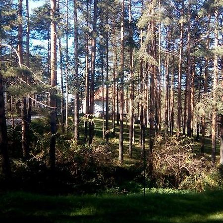Apartment 9 Gorska Vila Златибор Экстерьер фото