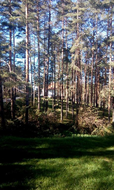 Apartment 9 Gorska Vila Златибор Экстерьер фото